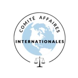 Comité Affaires Internationales