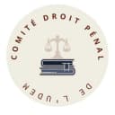 Comité de Droit Pénal