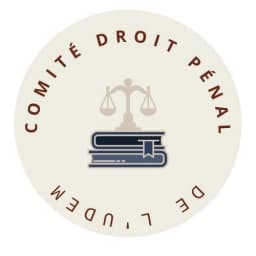 Comité de Droit Pénal