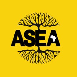 Association des Étudiant(e)s Africain(e)s de L'UQAM