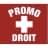Comité Promo Droit