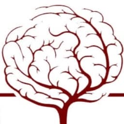 Student Interest Group in Neurology and Neurosurgery