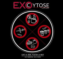 Exocytose